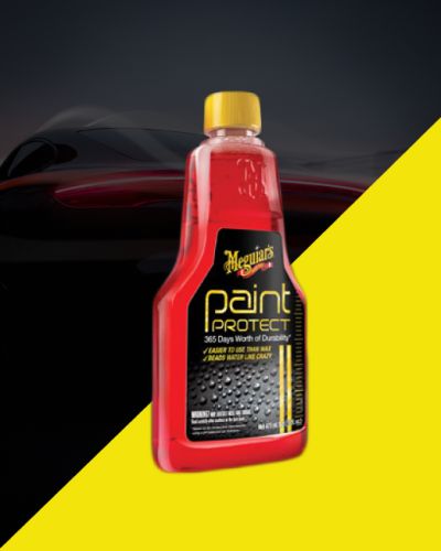 Paint Protect